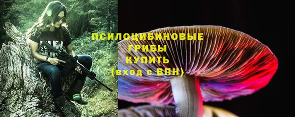 мдма Протвино