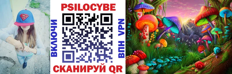 Псилоцибиновые грибы Magic Shrooms  Камызяк 